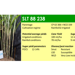 Slide11