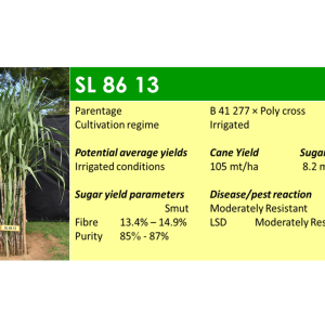 Slide19