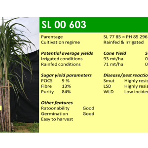 Slide7