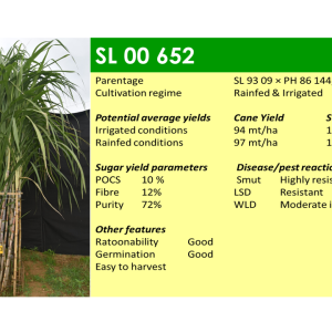 Slide8